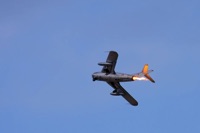 Not Just Spitfires